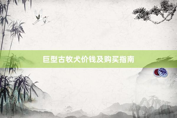 巨型古牧犬价钱及购买指南