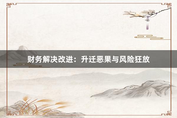 财务解决改进：升迁恶果与风险狂放